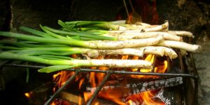 calçot